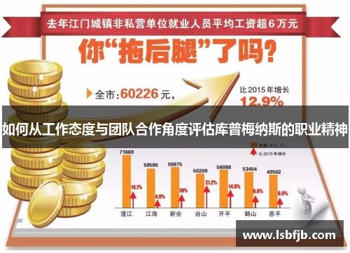 如何从工作态度与团队合作角度评估库普梅纳斯的职业精神