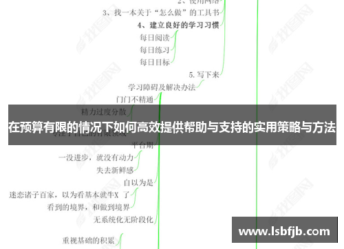 在预算有限的情况下如何高效提供帮助与支持的实用策略与方法