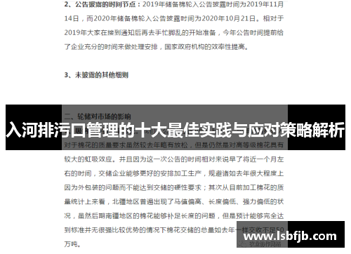 入河排污口管理的十大最佳实践与应对策略解析